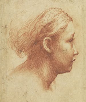 Girl's head in profile