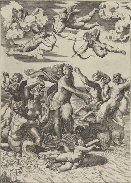 The Triumph of Galatea | Uffizi Galleries