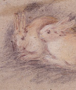 Two rabbits