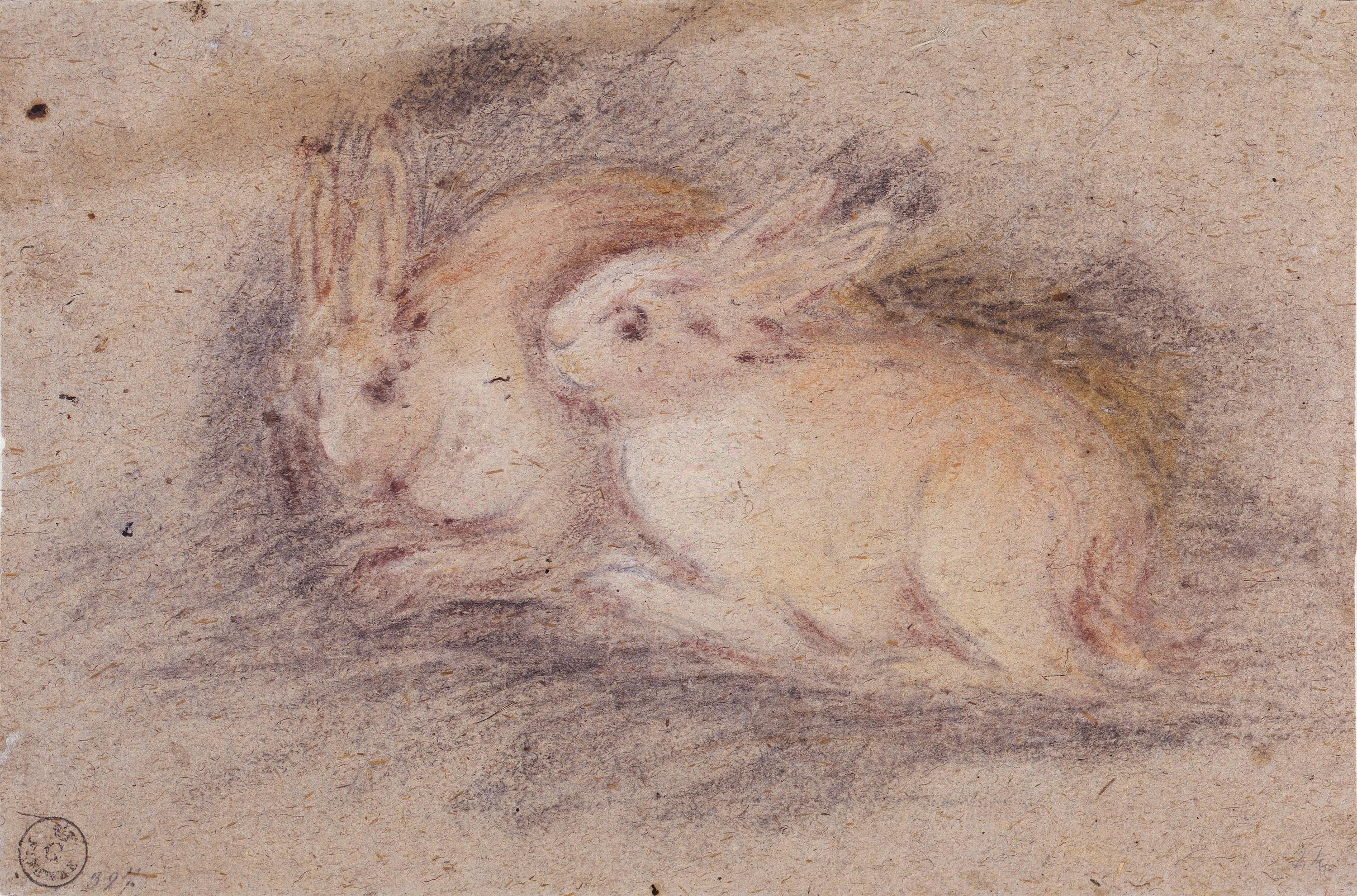 Two rabbits