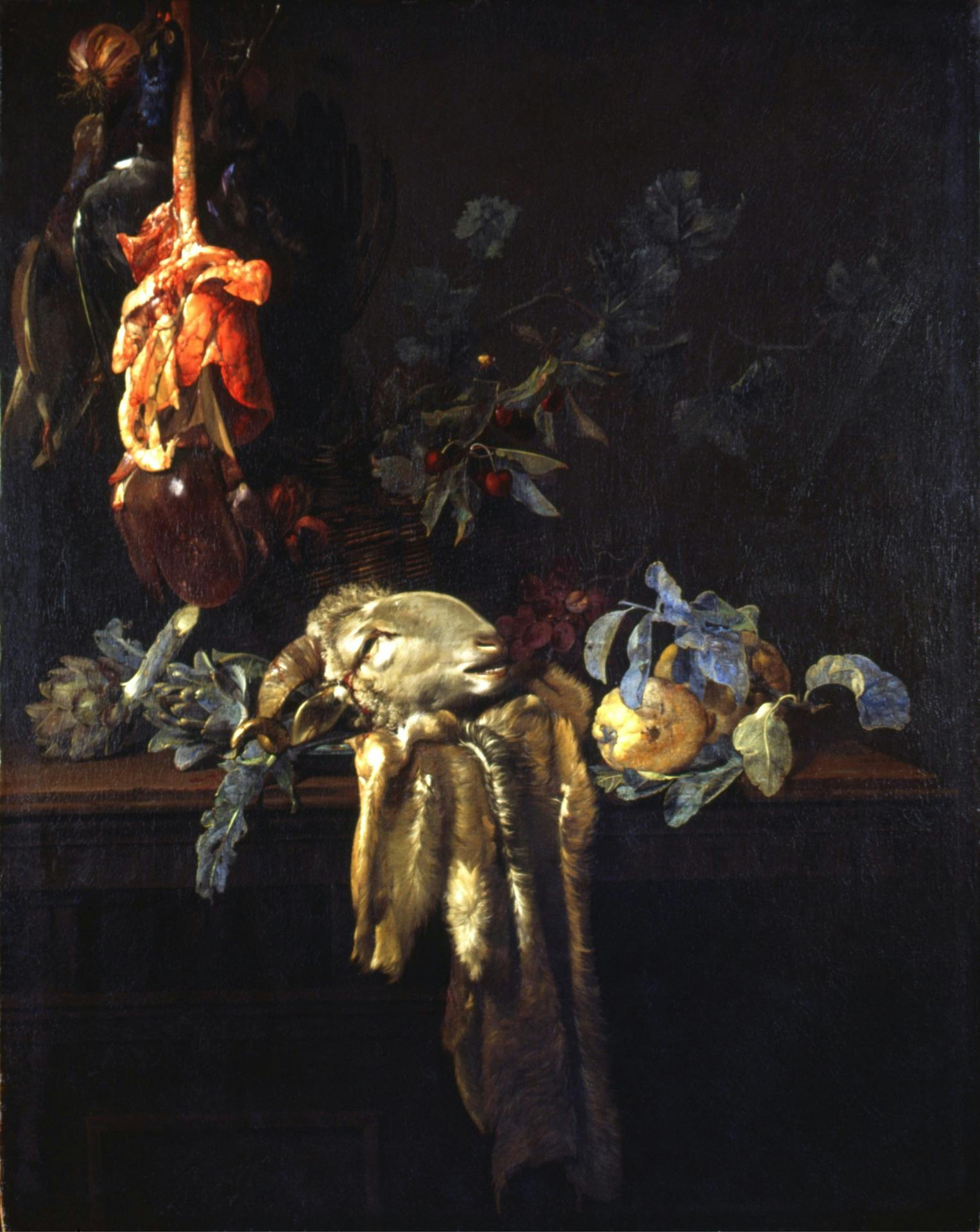 Still life with ram's head