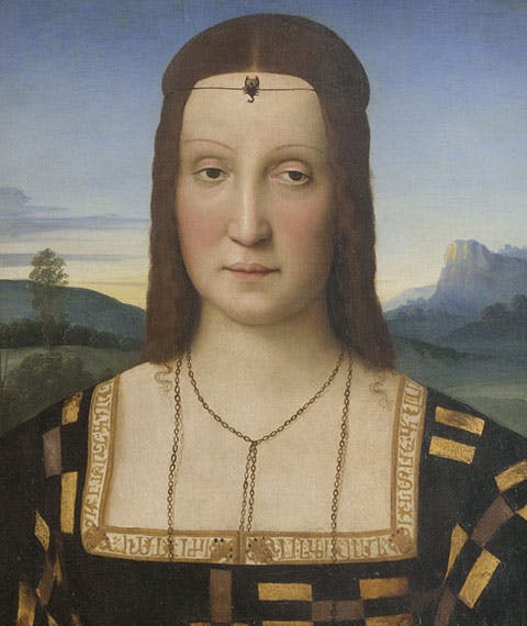 Portrait of Elisabetta Gonzaga, Duchess of Urbino