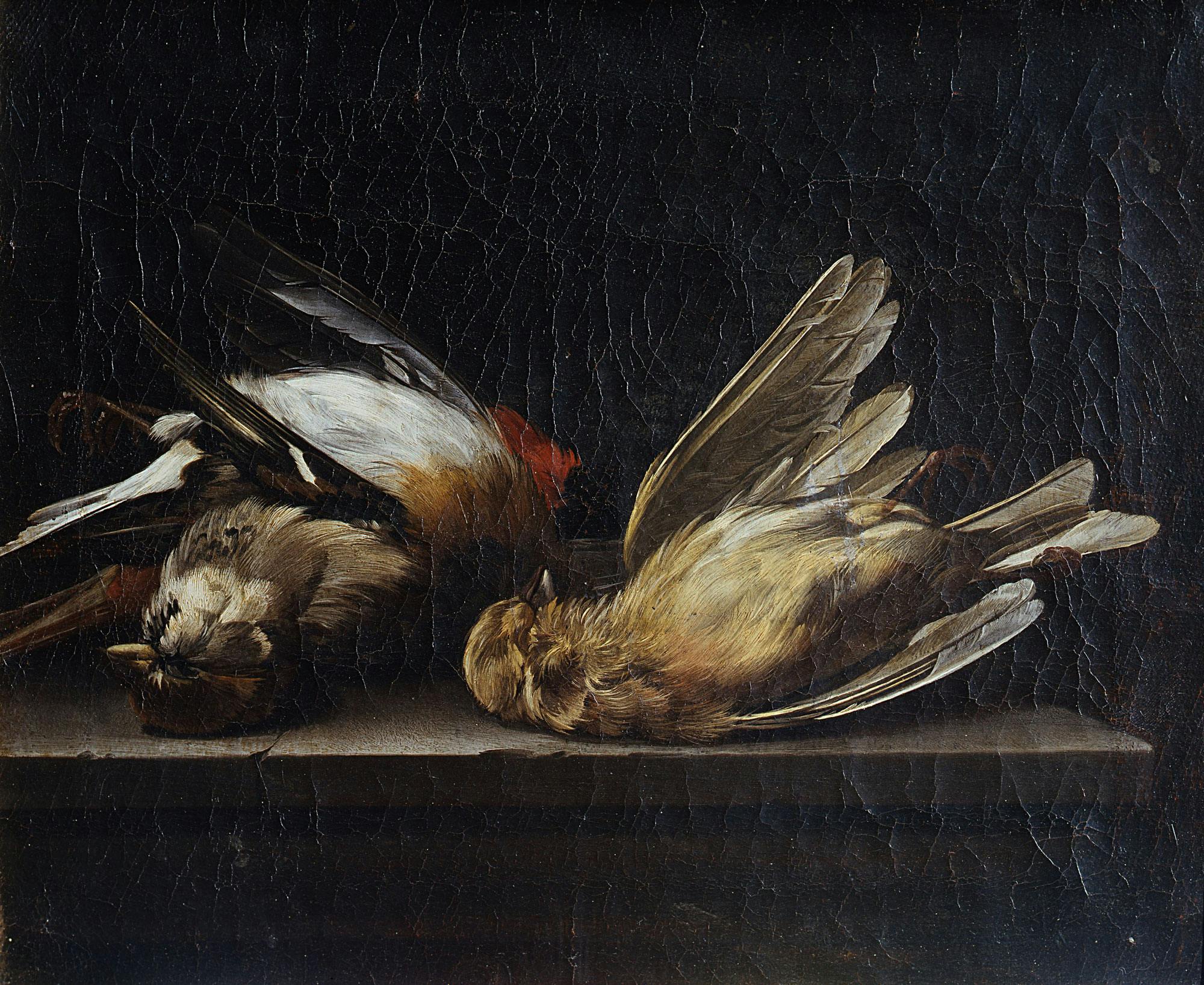 Natura morta: tre uccelli morti