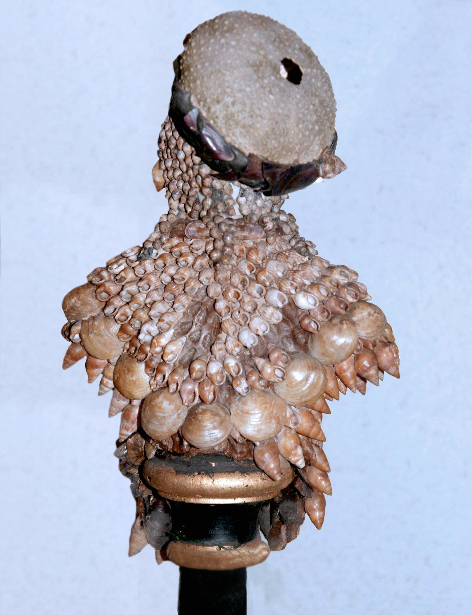 Busto in conchiglie