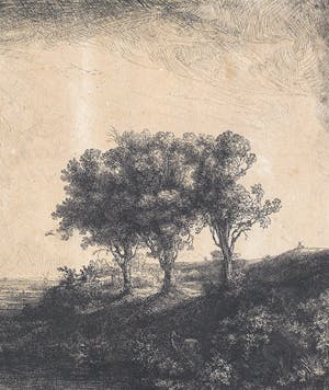 I tre alberi