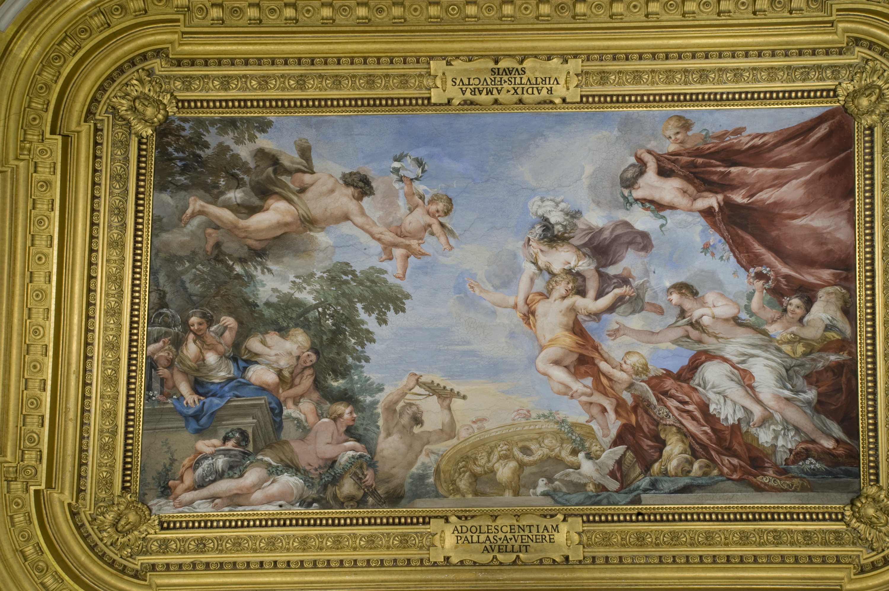 Room of Venus - Pitti Palace | Uffizi Galleries