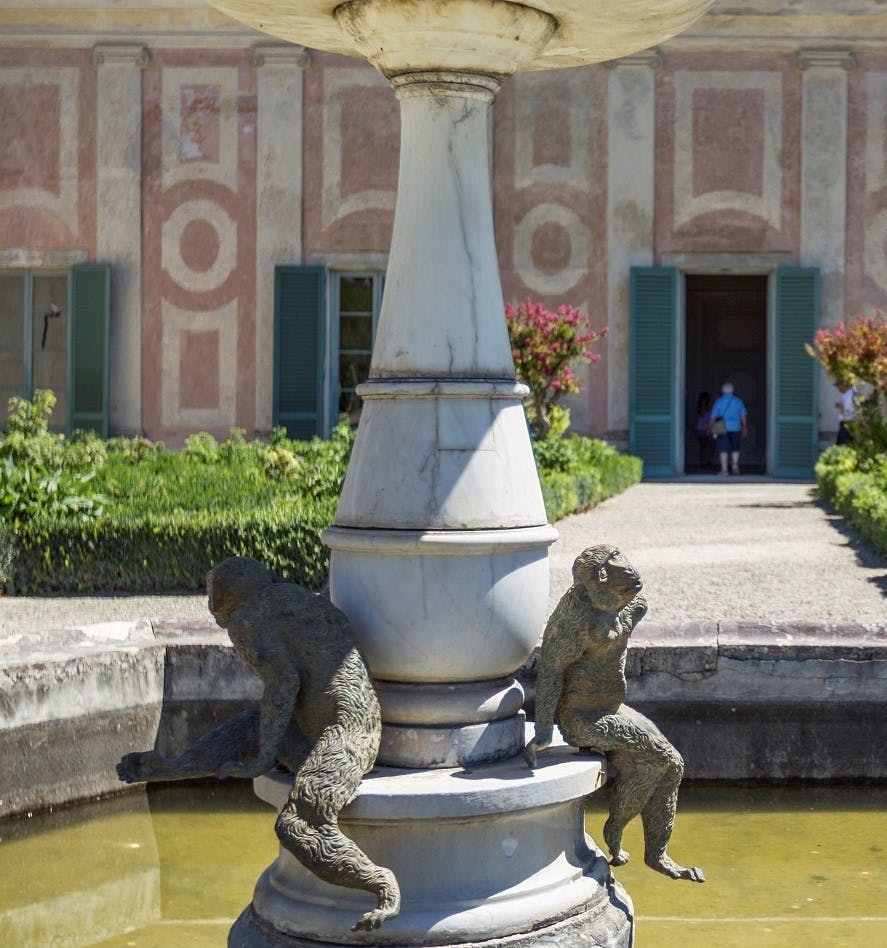 Monkey fountain