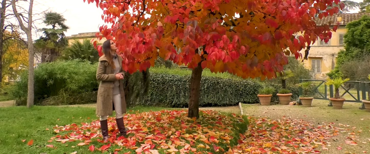 L'autunno nel Giardino di Boboli