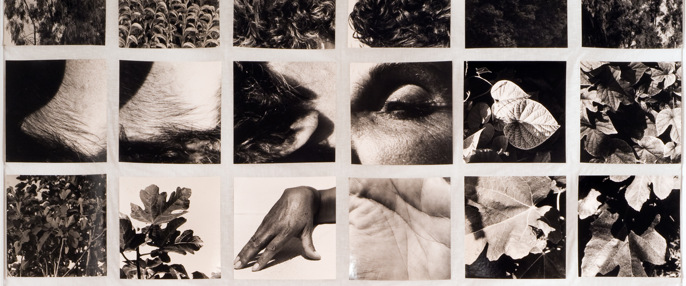 Per Dafne e le altre