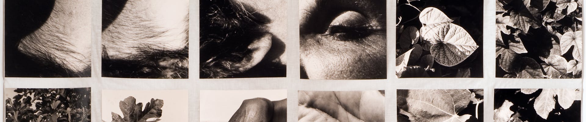 Per Dafne e le altre Per Dafne e le altre