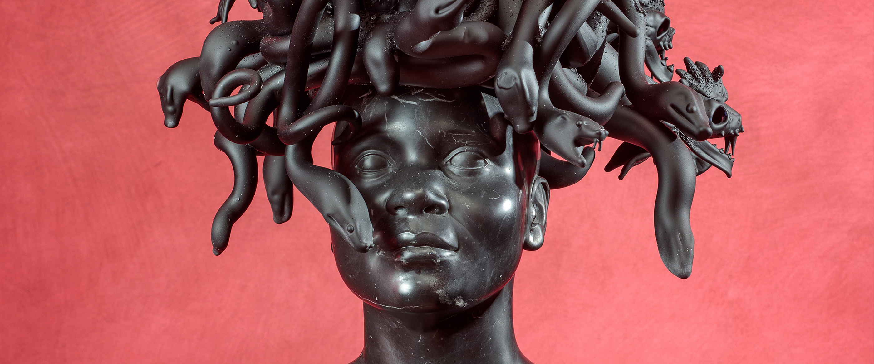 Seduzione. Koen Vanmechelen