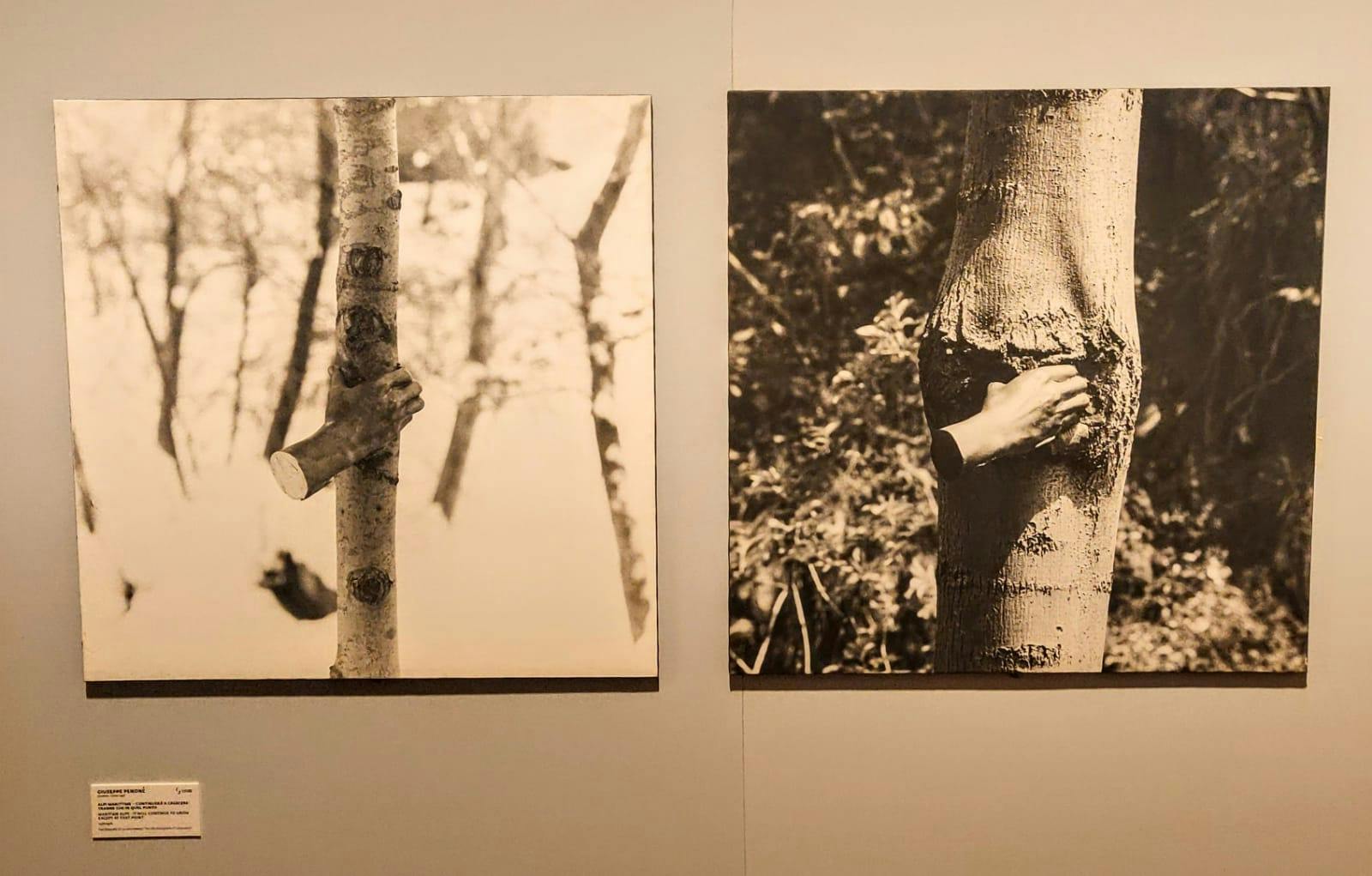 Summer at the Uffizi: opening of the exhibition by Giuseppe Penone