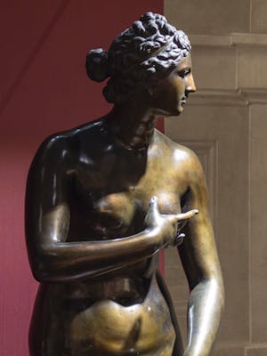 Plasmato dal fuoco. La scultura in bronzo nella Firenze degli ultimi Medici