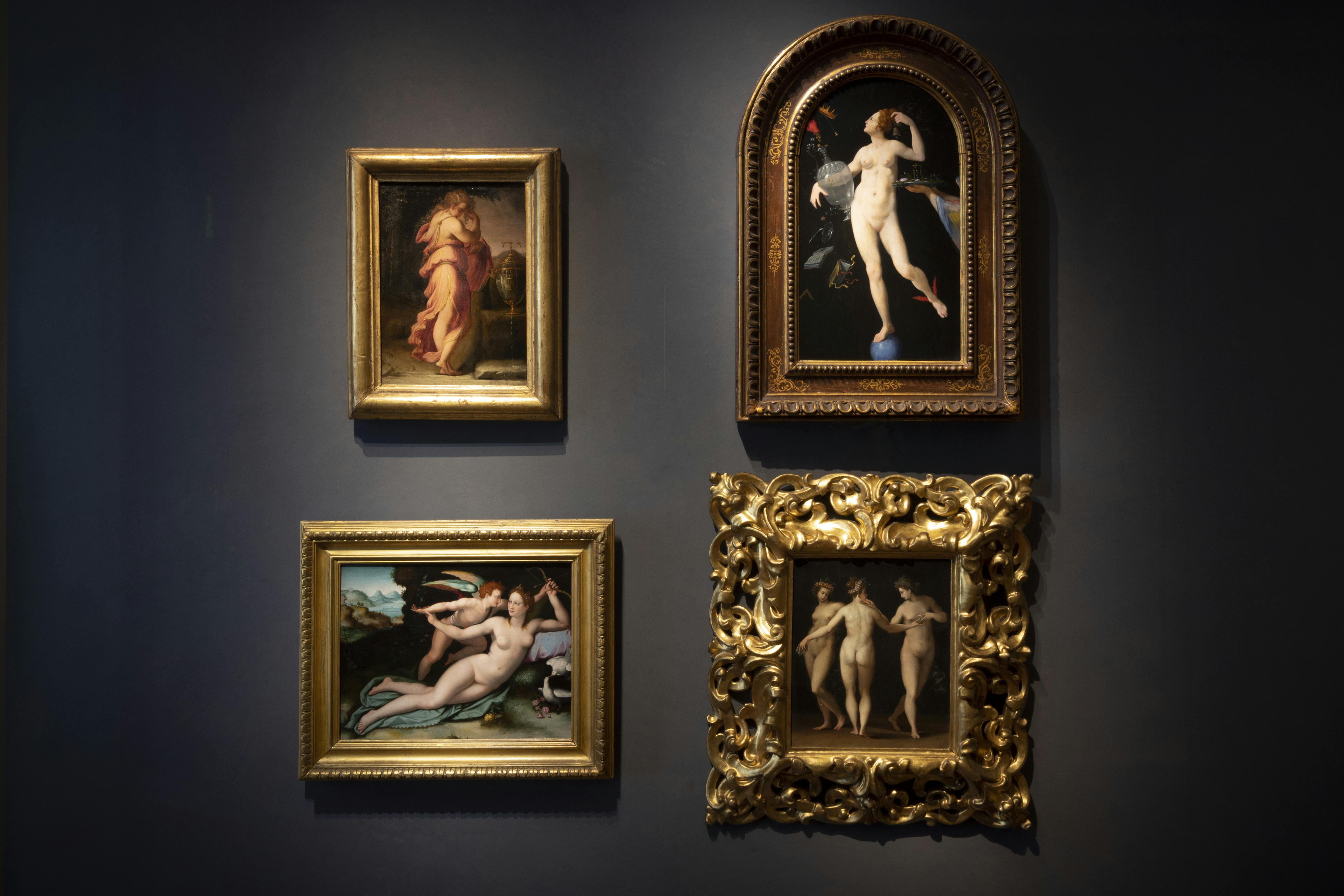 New Rooms for the 16th-century painting