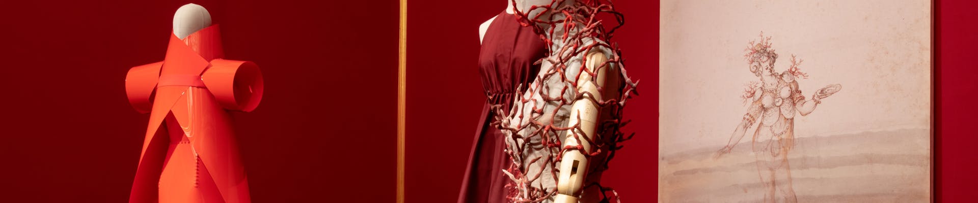 Animalia Fashion Animalia Fashion