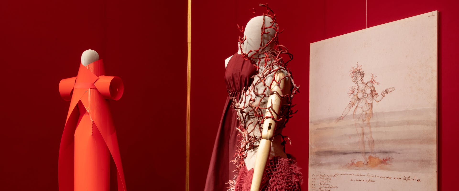 Animalia Fashion Animalia Fashion