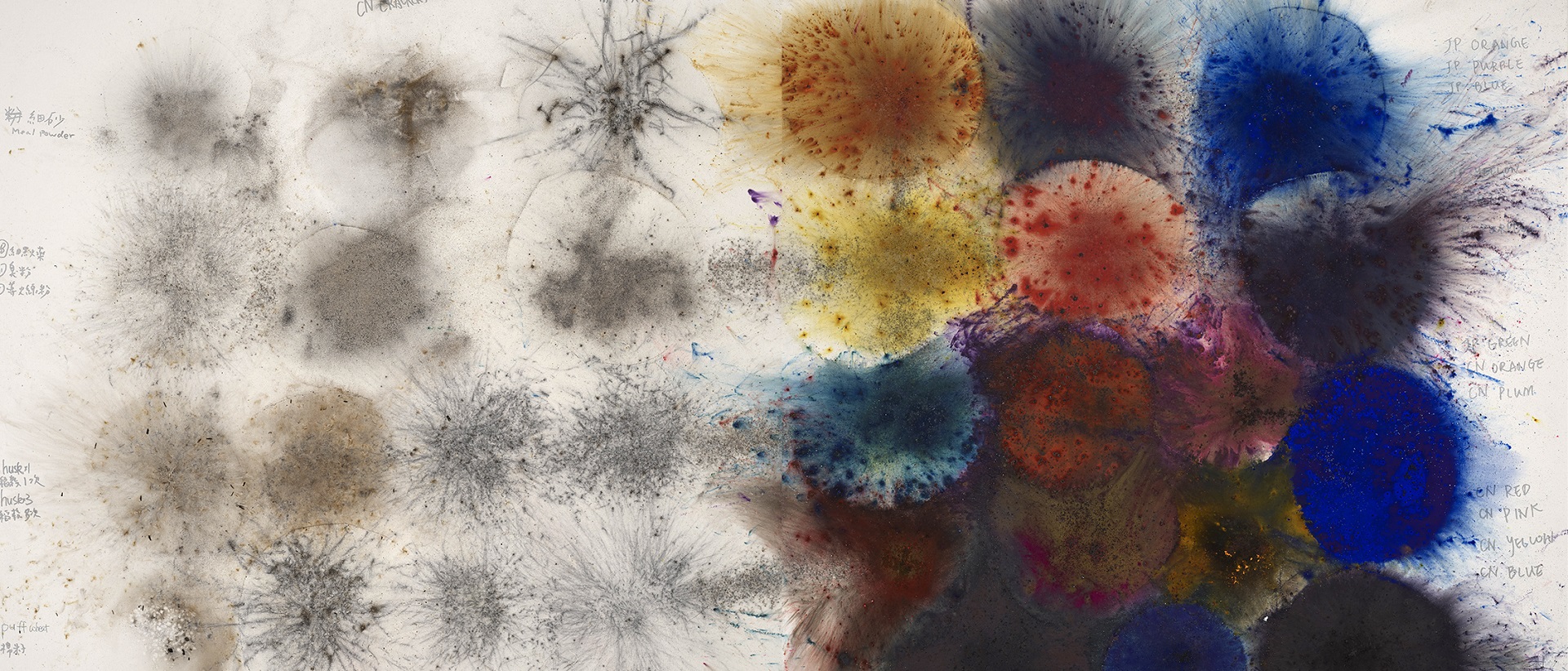 City of Flowers in the Sky. Cai Guo-Qiang creates a daytime explosion event for the city of Florence