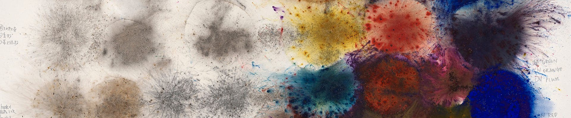 City of Flowers in the Sky. Cai Guo-Qiang creates a daytime explosion event for the city of Florence City of Flowers in the Sky. Cai Guo-Qiang creates a daytime explosion event for the city of Florence