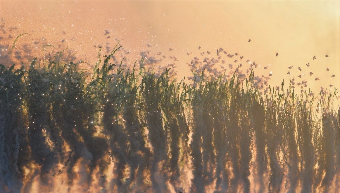 City of Flowers in the Sky. Spettacolo pirotecnico diurno realizzato da Cai Guo-Qiang per la città di Firenze