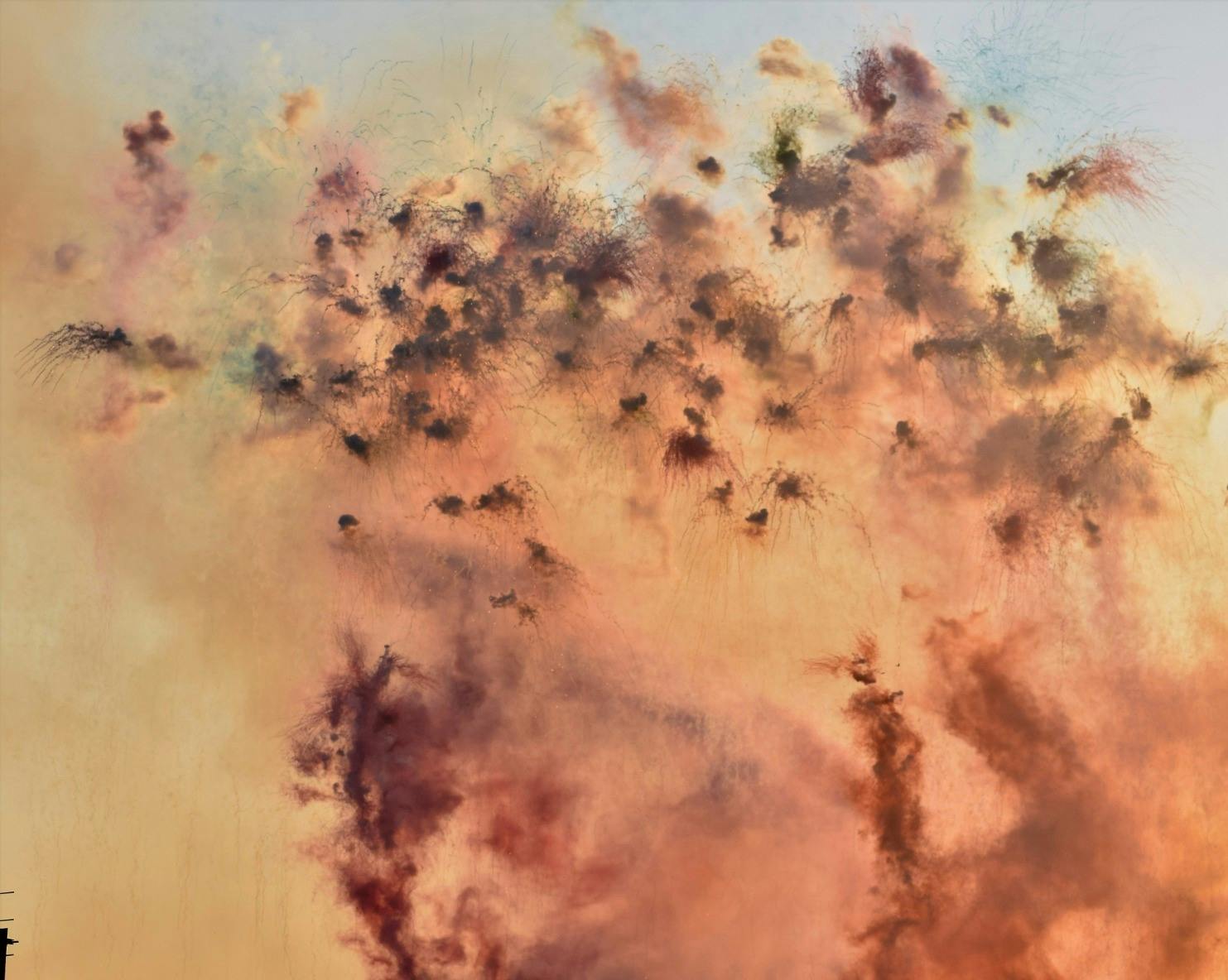 City of Flowers in the Sky. Cai Guo-Qiang creates a daytime explosion event for the city of Florence