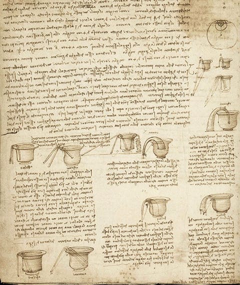 Water as Microscope of Nature. Leonardo da Vinci’s Codex Leicester