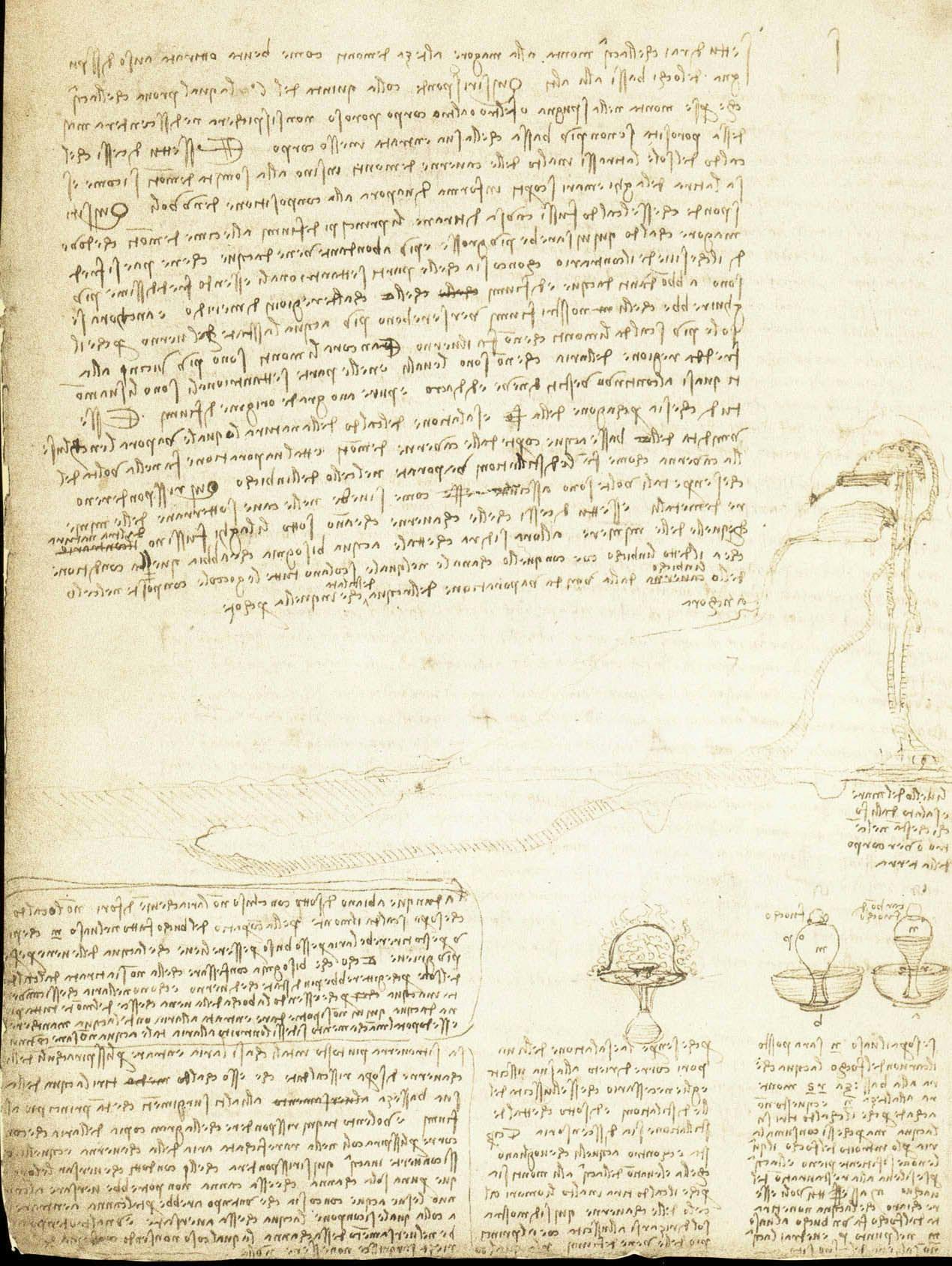 Water as Microscope of Nature. Leonardo da Vinci’s Codex Leicester