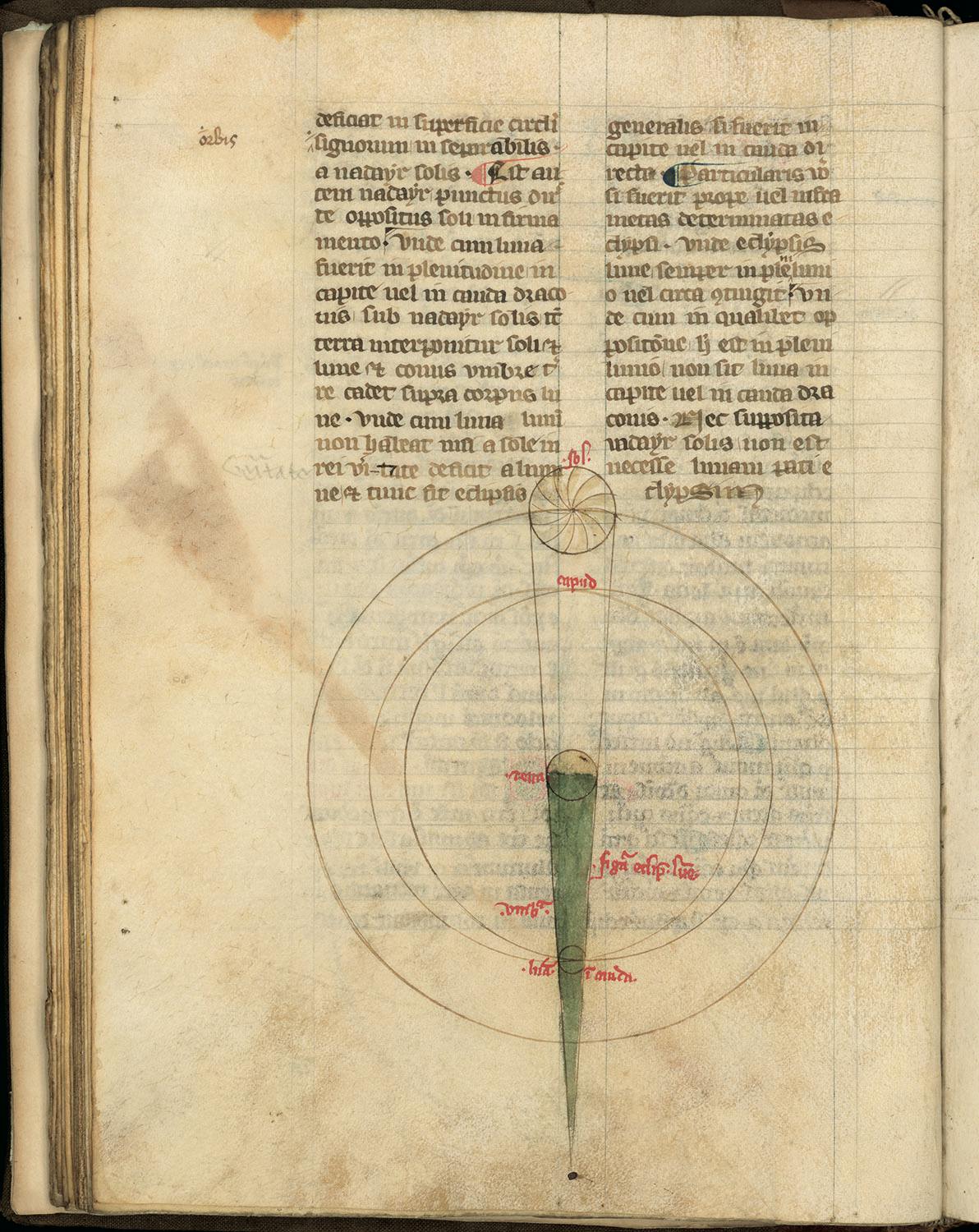 L’acqua microscopio della natura. Il Codice Leicester di Leonardo da Vinci