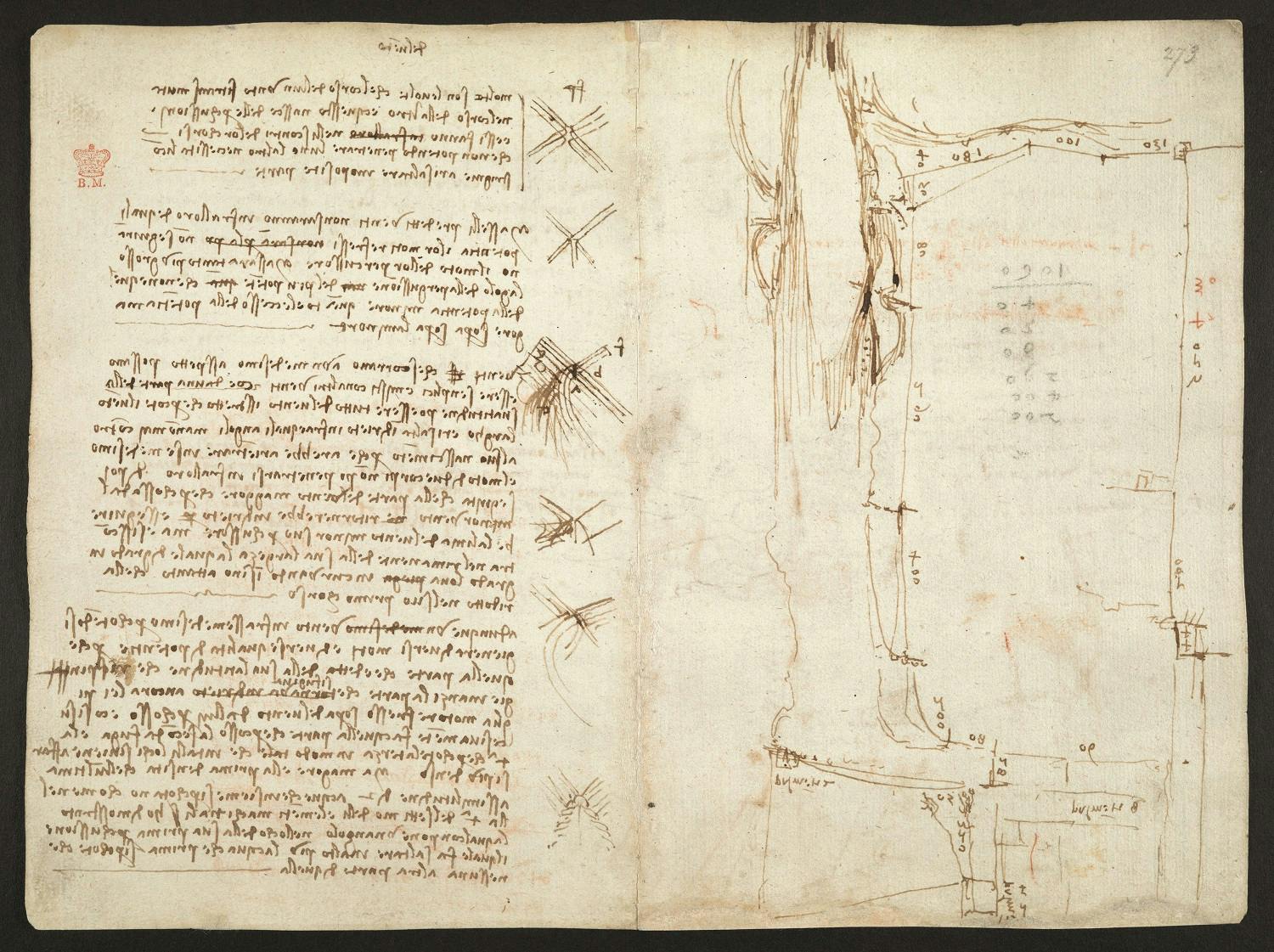 Water as Microscope of Nature. Leonardo da Vinci’s Codex Leicester