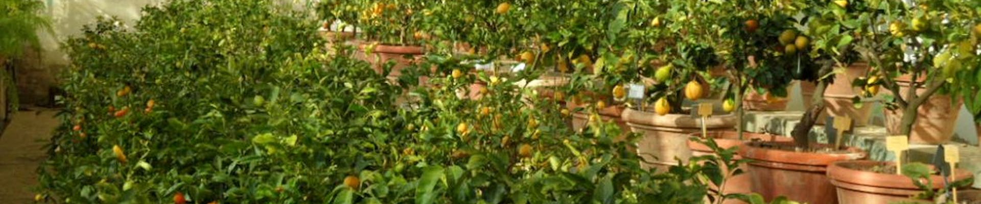 Giornata Internazionale dei diritti delle persone con disabilità Giornata Internazionale dei diritti delle persone con disabilità