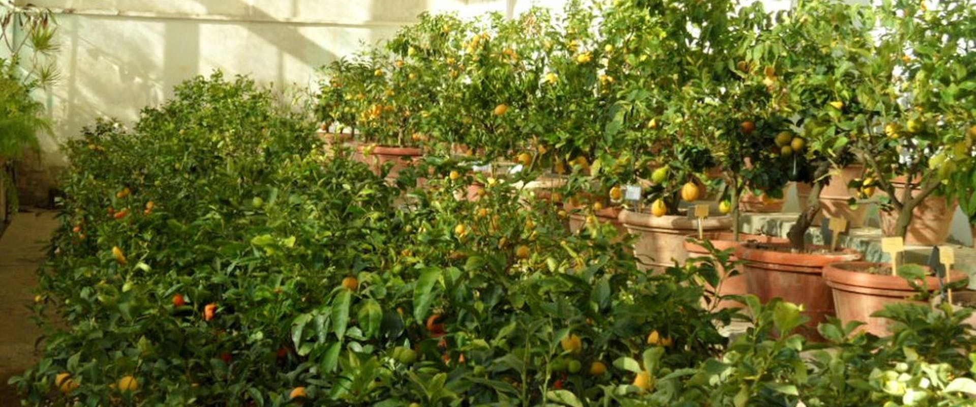 Giornata Internazionale dei diritti delle persone con disabilità Giornata Internazionale dei diritti delle persone con disabilità