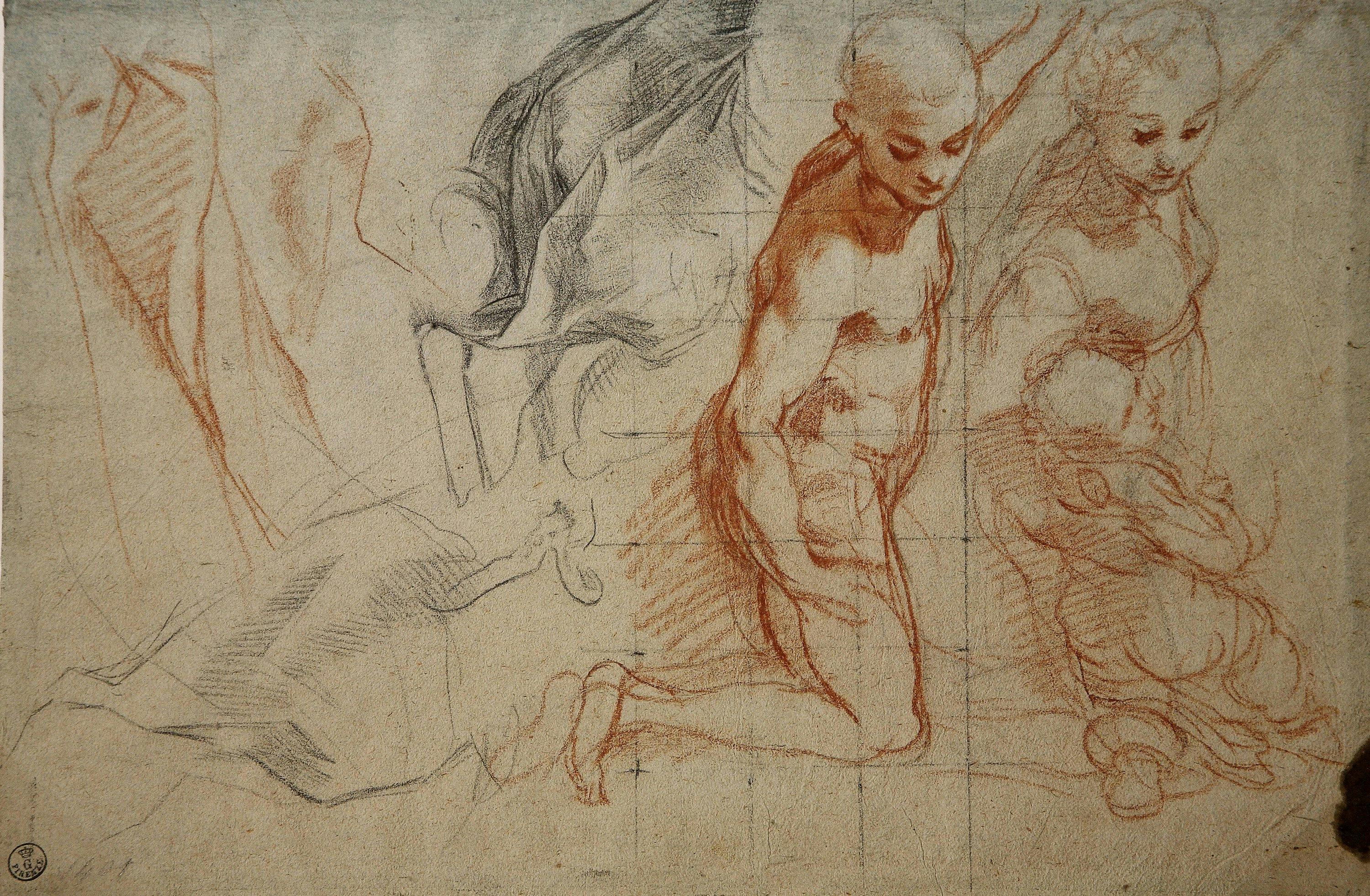 Federico Barocci disegnatore. La fucina delle immagini