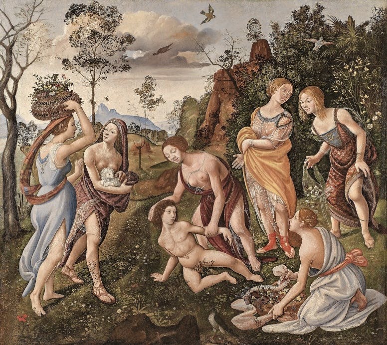 Piero di Cosimo 1462 - 1522. Pittore eccentrico fra Rinascimento e Maniera