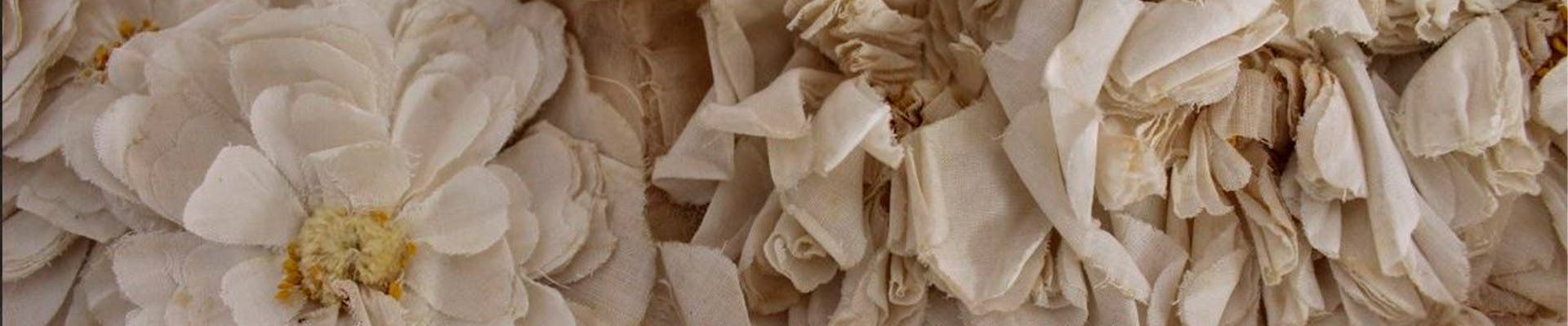 Il manto di corte di Donna Franca Florio Il manto di corte di Donna Franca Florio