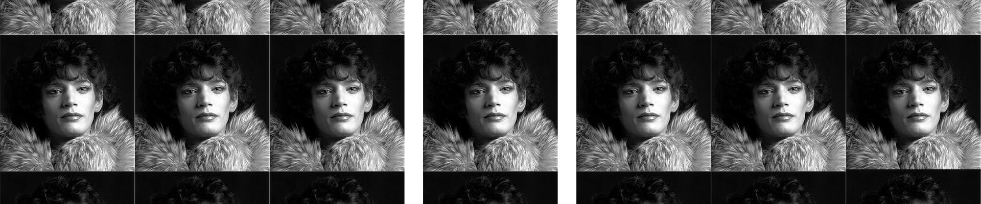 Robert Mapplethorpe Robert Mapplethorpe