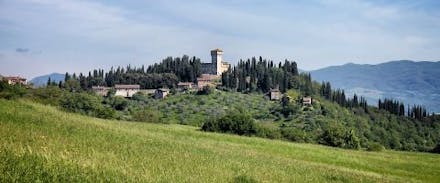 Terre degli Uffizi diventa sempre più grande