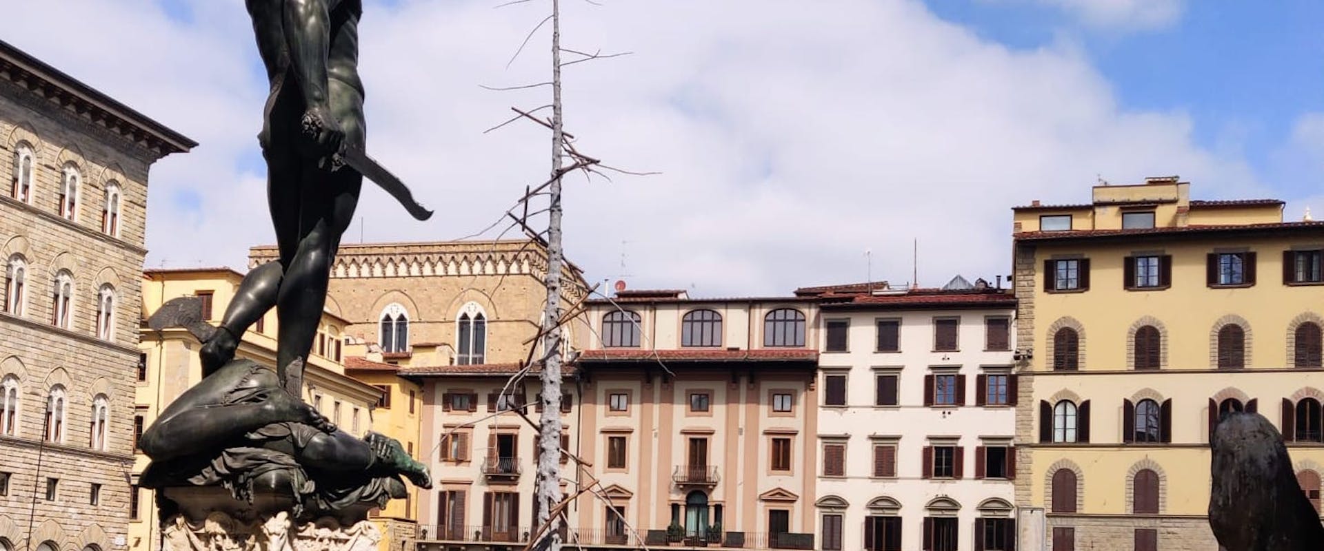 Dantedì: In Piazza Signoria sorge un albero del "Paradiso" di Giuseppe Penone Dantedì: In Piazza Signoria sorge un albero del "Paradiso" di Giuseppe Penone