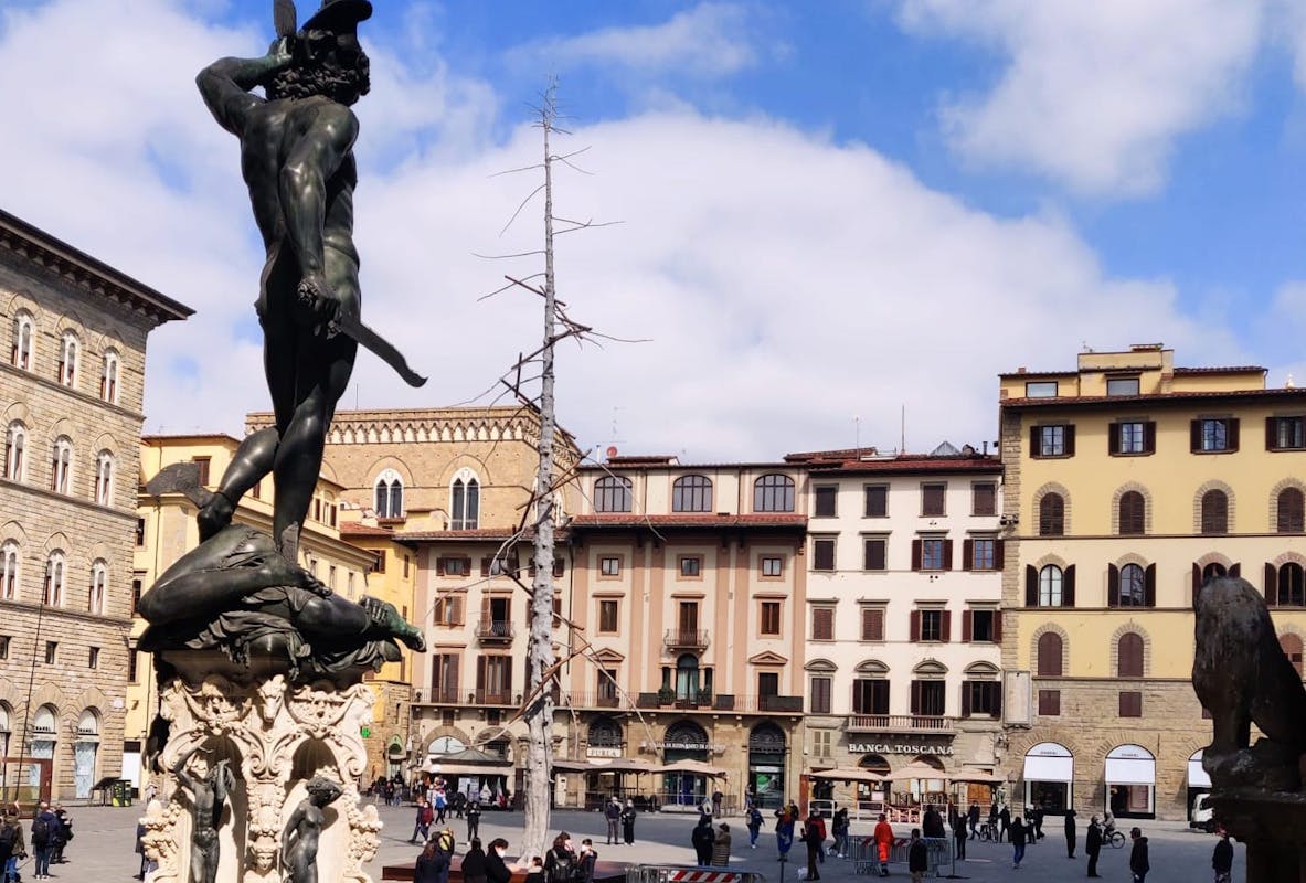 Dantedì: In Piazza Signoria sorge un albero del "Paradiso" di Giuseppe Penone