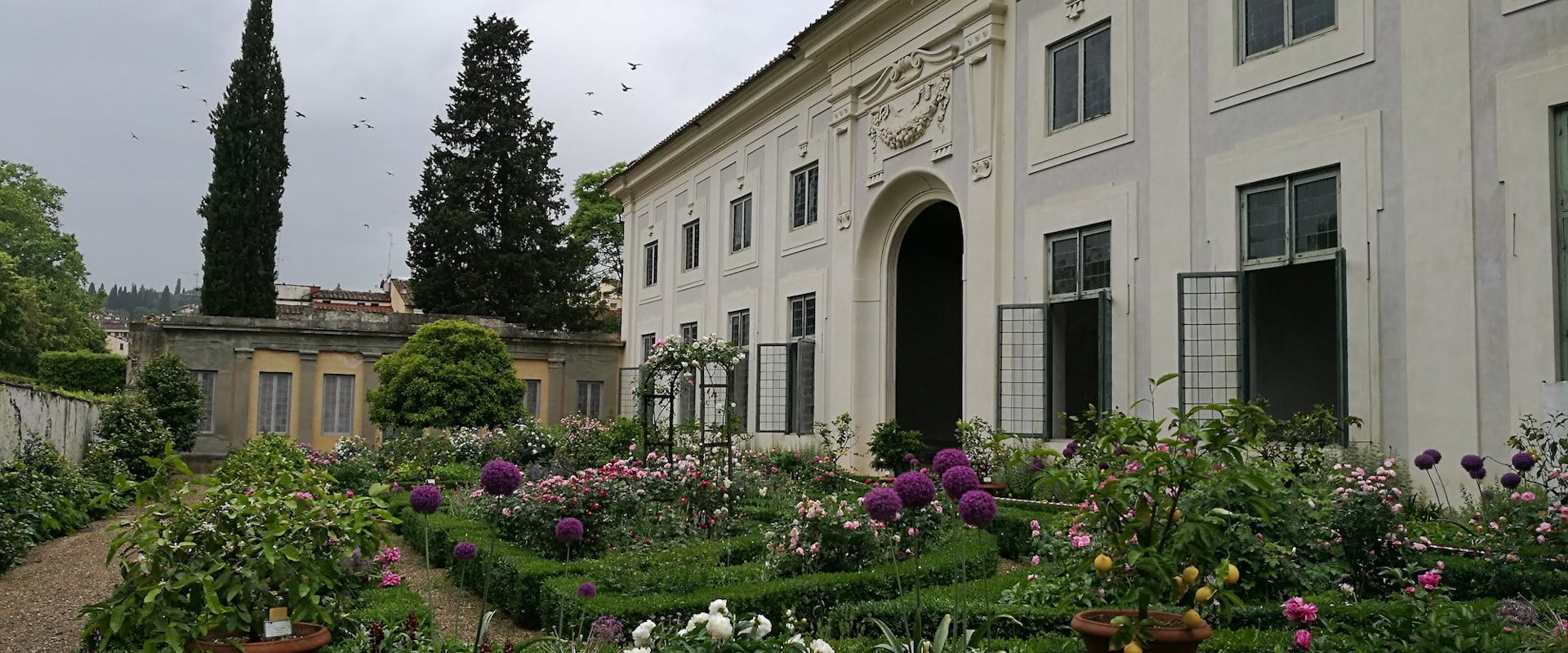 La Primavera di Boboli La Primavera di Boboli