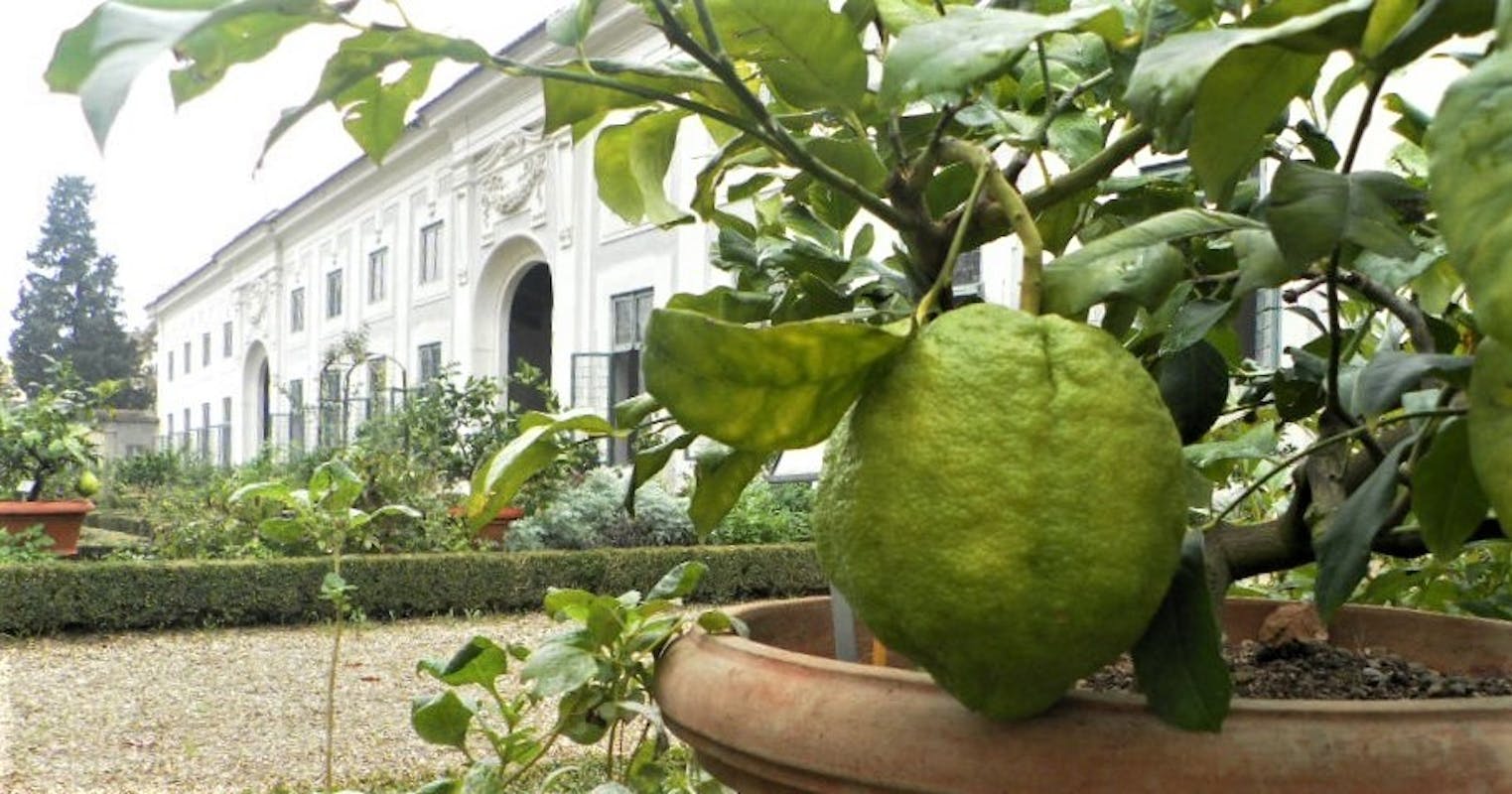 Progetto "CITRI ET AUREA"