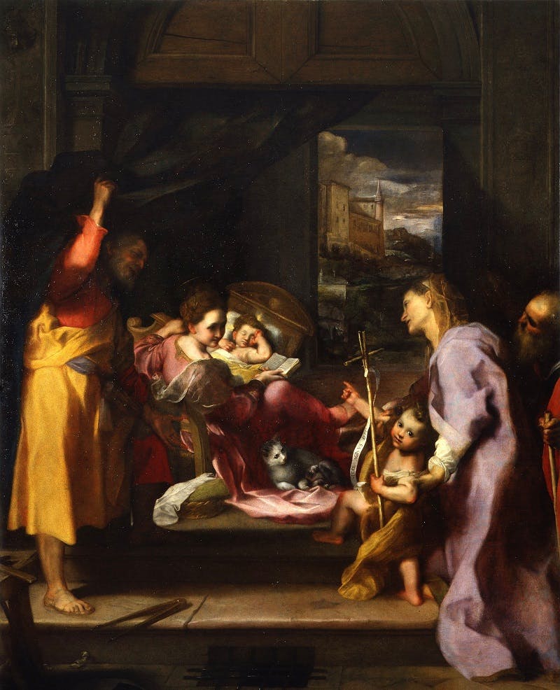 La "Madonna della gatta" di Barocci esposta a Palazzo Pitti