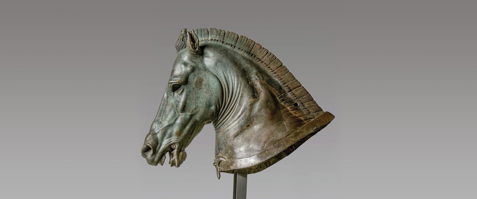 Premiata la multivisione della mostra "A cavallo del tempo"