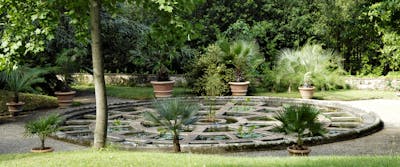 Aperture straordinarie della Botanica Superiore