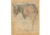 Donkey