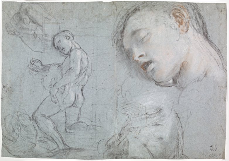Figura maschile nuda che suona la ghironda, studi del busto, della testa e delle mani
