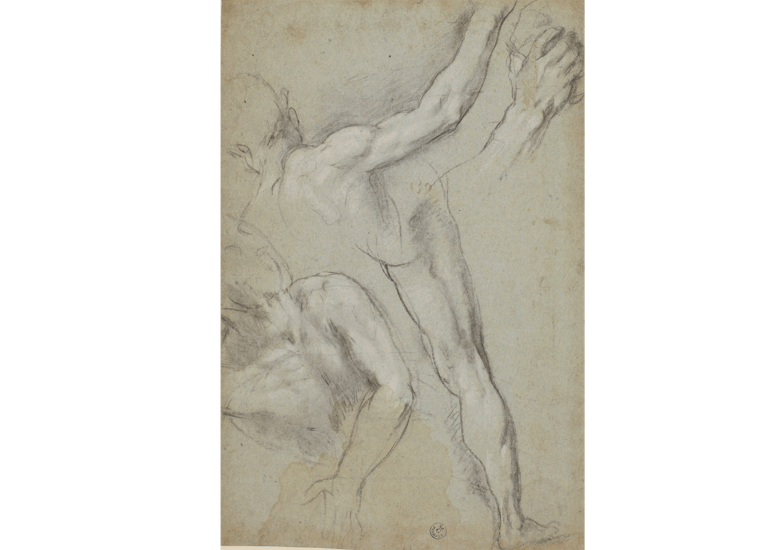 Studio parziale di due figure maschili nude, una con un braccio alzato, l’altra a terra e studi della gamba e del braccio della prima