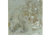 Partial Study of the Holy Family