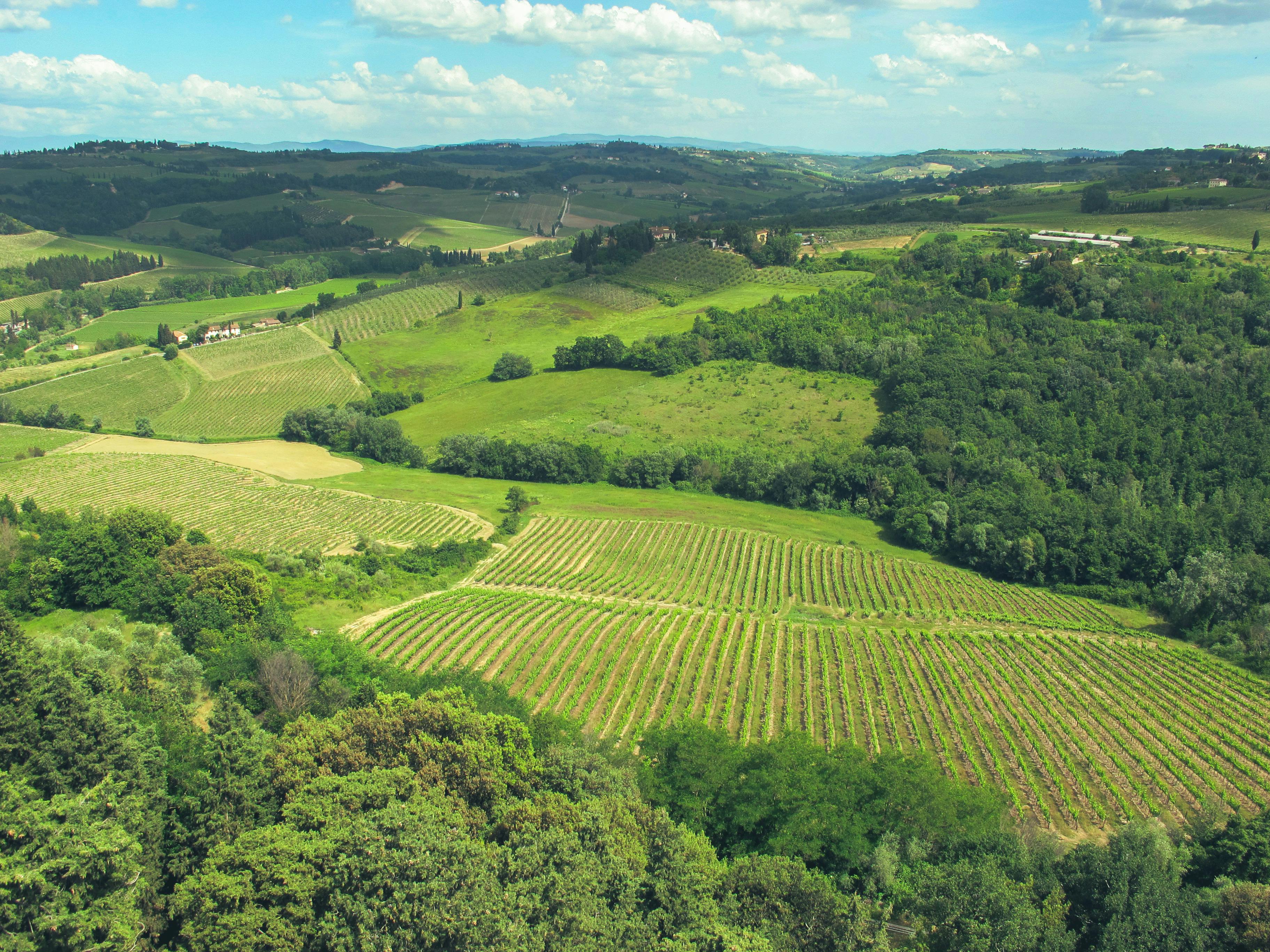 Foto delle colline intorno a Montespertoli di giorno