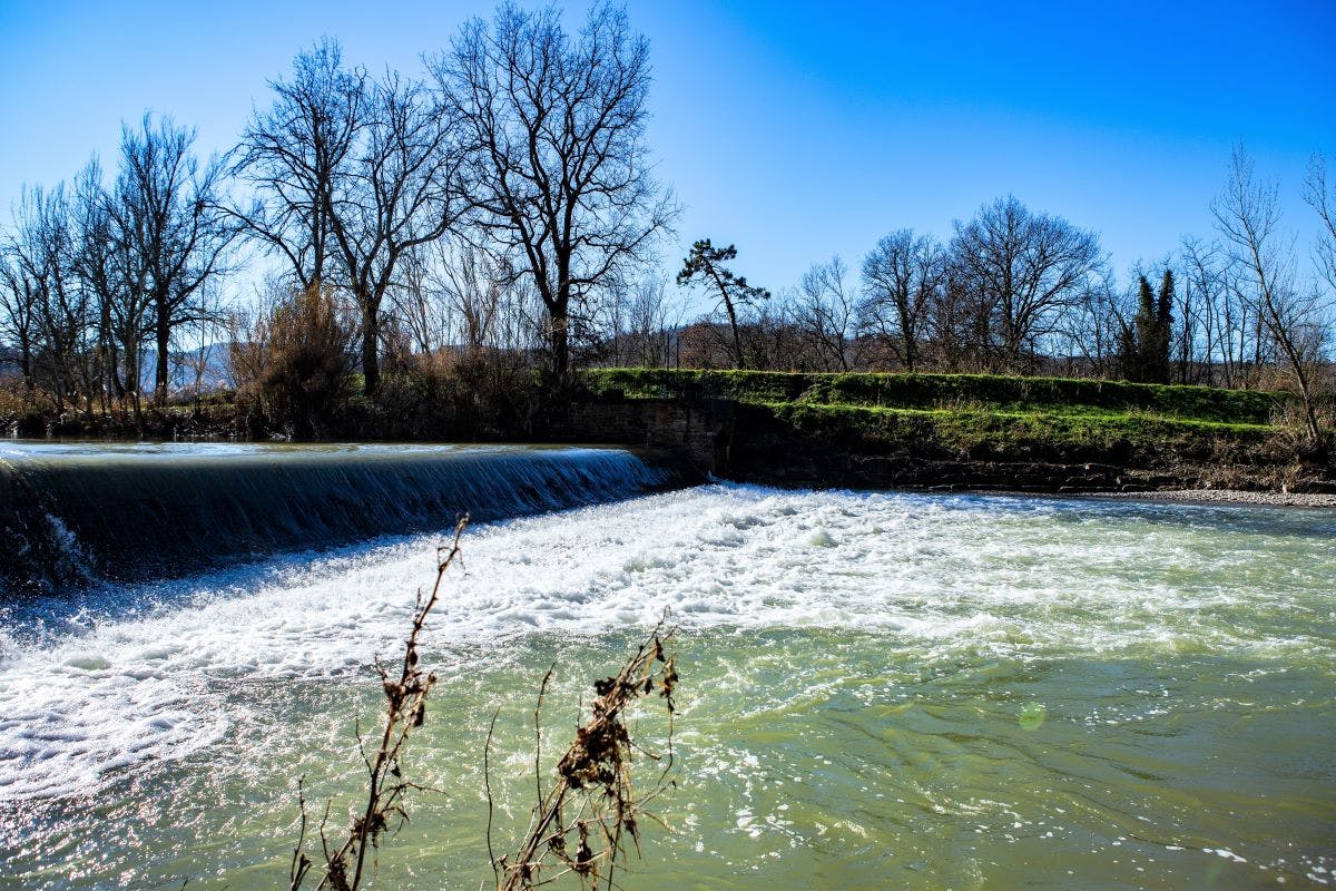 Foto del Fiume Pesa