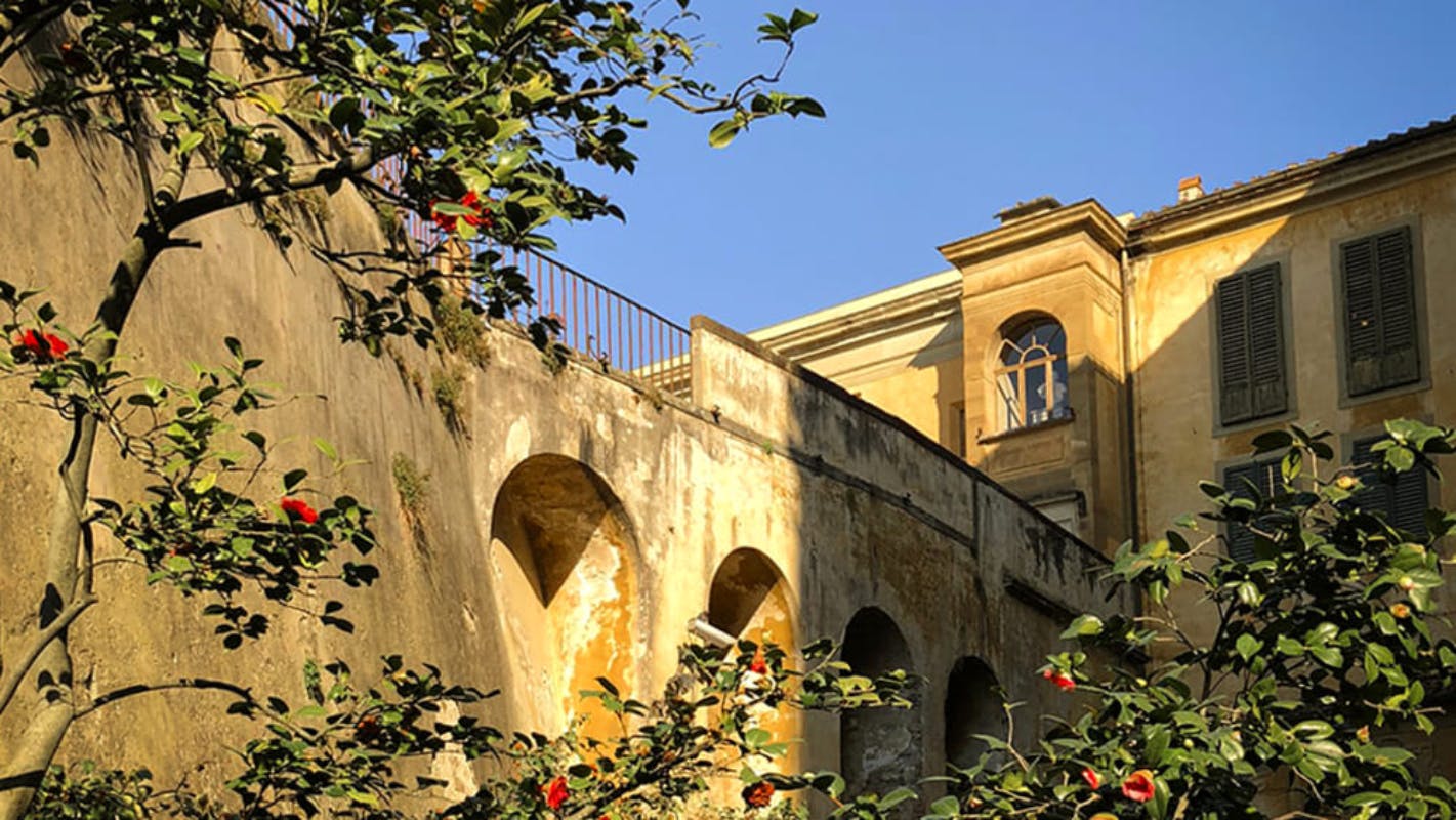 Restauration of the Garden of the Camellias