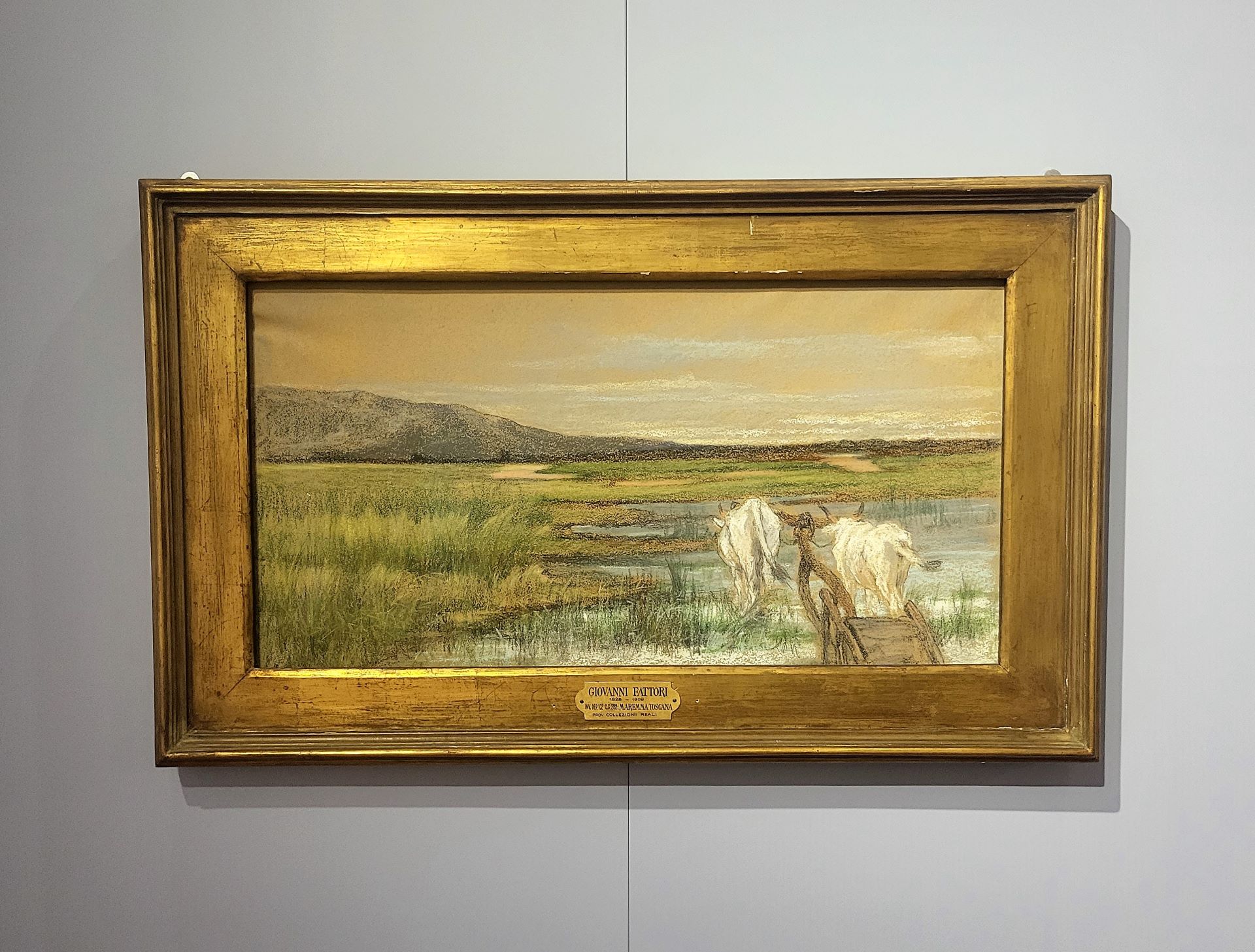 Gli Uffizi Diffusi arrivano a Bibbona